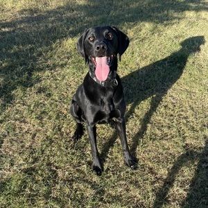 Meet your Posher, Mindee